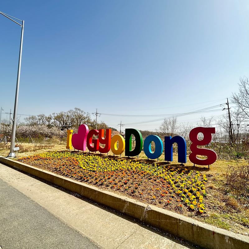 교동대교_입구_꽃길조성_(2)