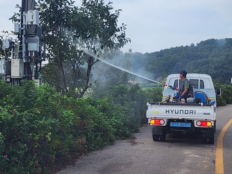 교동면_병해충_방제