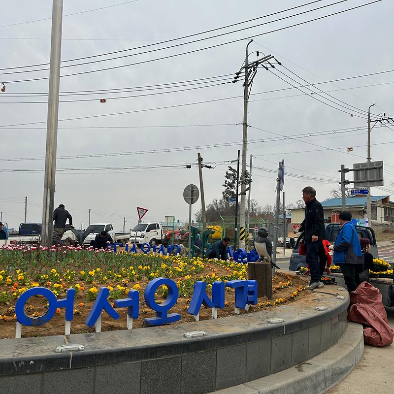 교동면_이장단_꽃길조성(2)