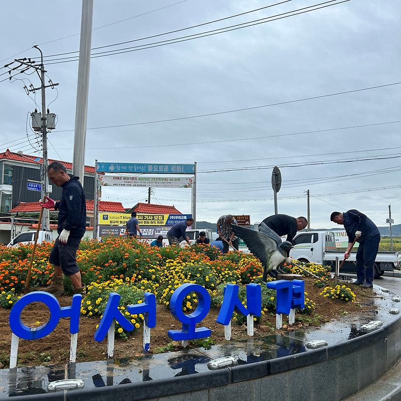 교동면_꽃동산_정비_(1)