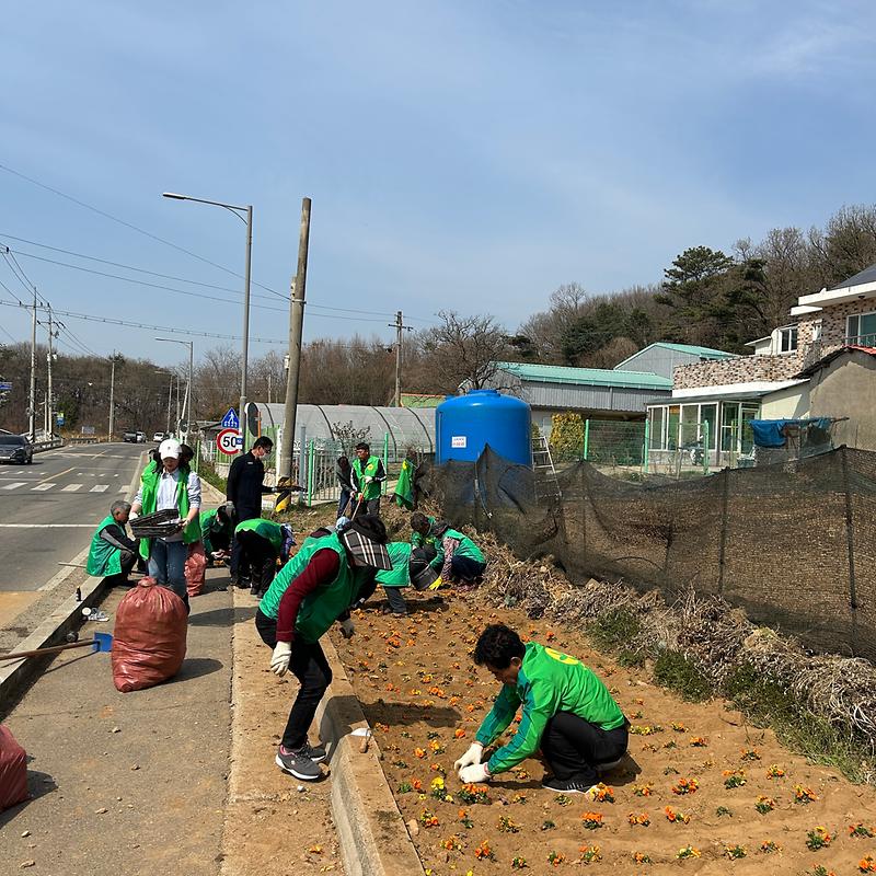 교동면_새마을지도자_꽃길조성