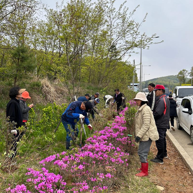 교동면_수목식재