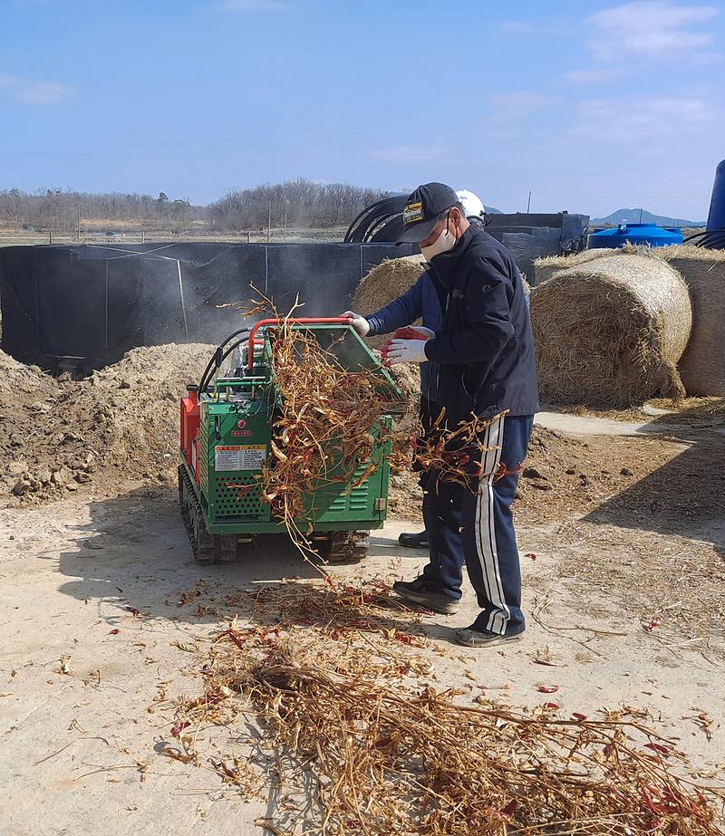교동면_영농부산물_파쇄지원