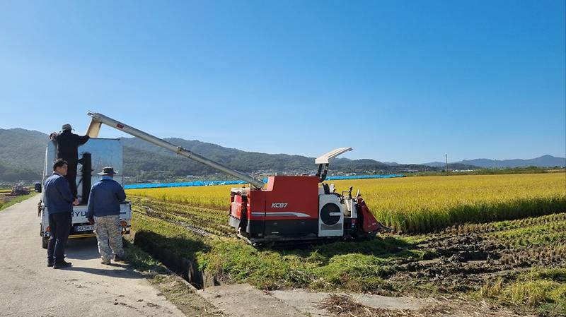 하점면,_벼베기_현장_방문_격려