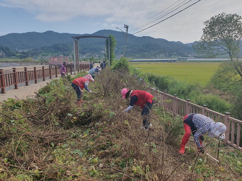 화도면_장화1리_부녀회,_산뜻한_나들길_조성_1