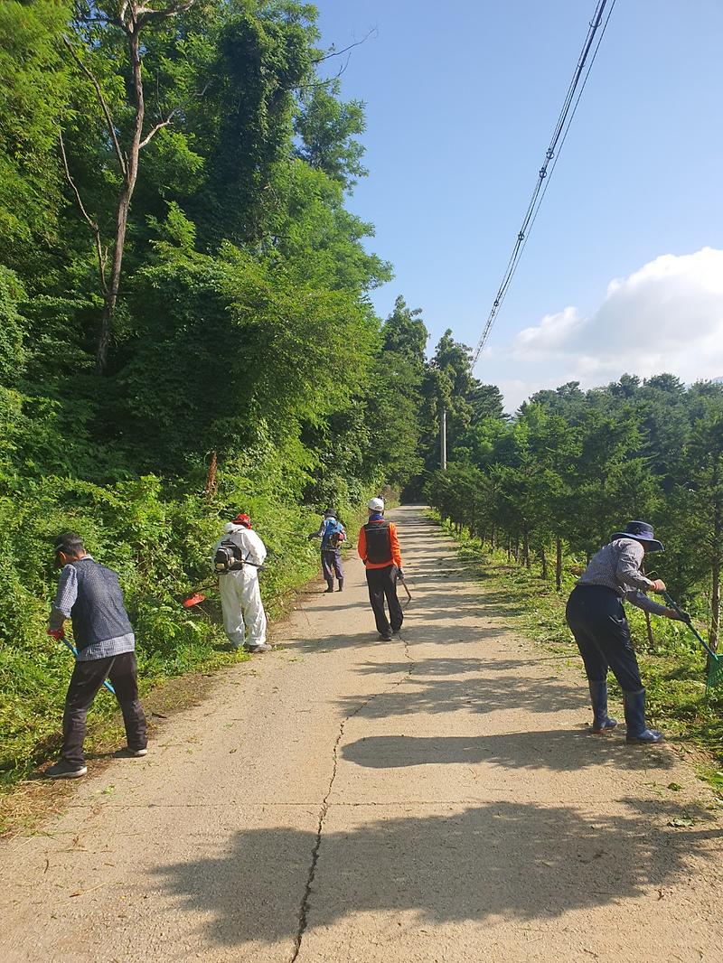 화도면_농촌지도자회_제초작업