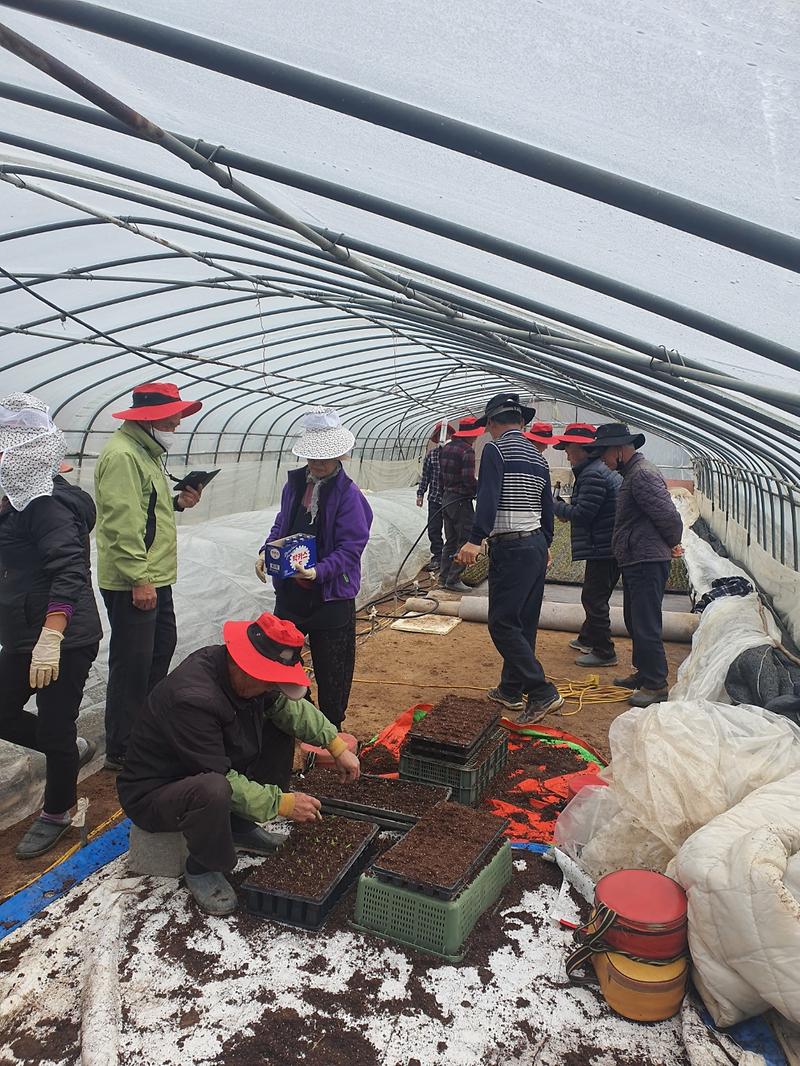 화도면_영농현장_방문_격려