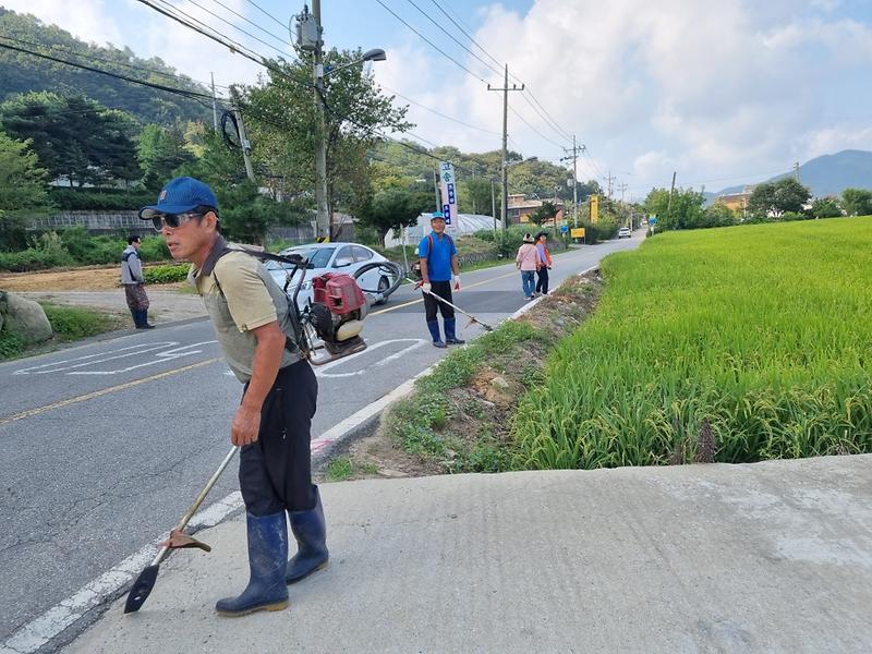 내가면_이장단,_잡목·잡초_제거에_구슬땀_1