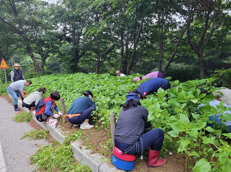 내가면_주민자치위원회_화단조성