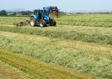 논_하계조사료_사업