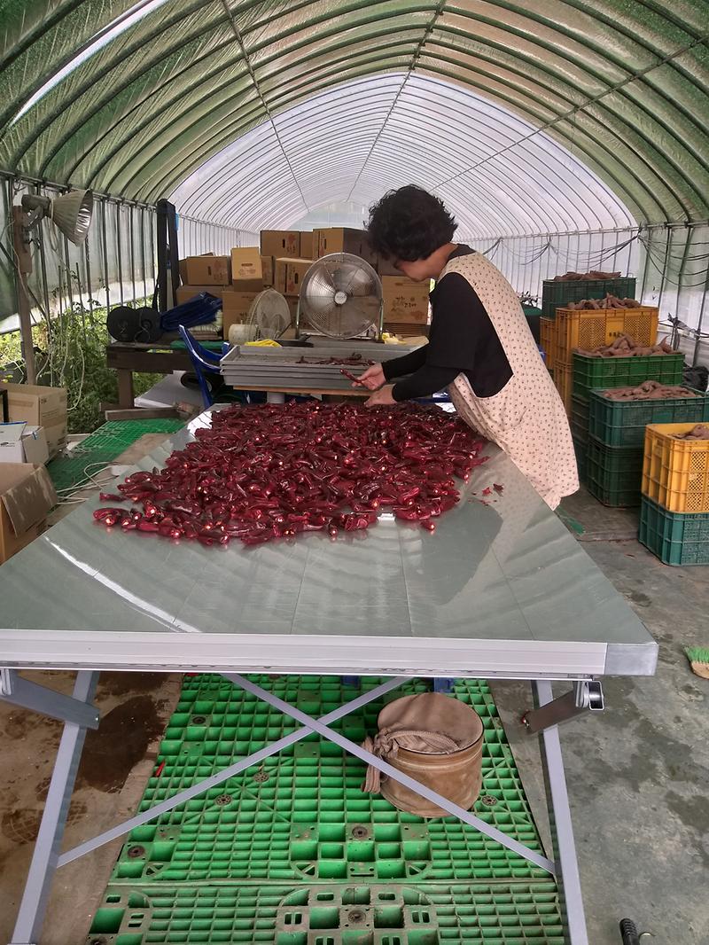 농업기술센터_작업대사진