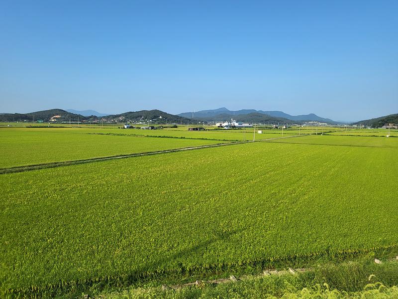 농지이용실태조사_(2)