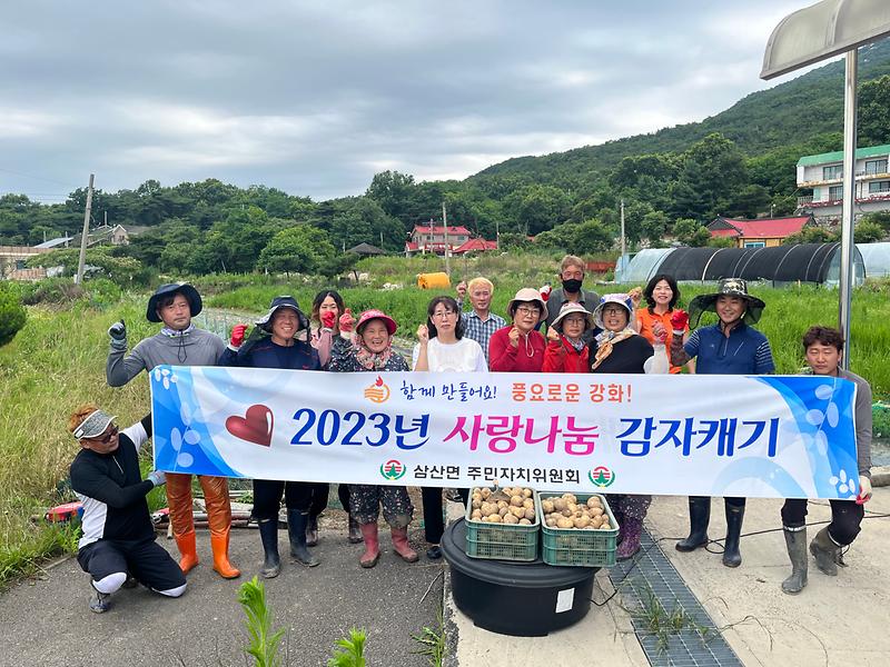 삼산면_주민자치위원회_감자_캐기_행사