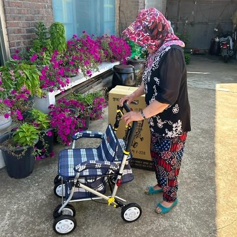 성인용보행보조기