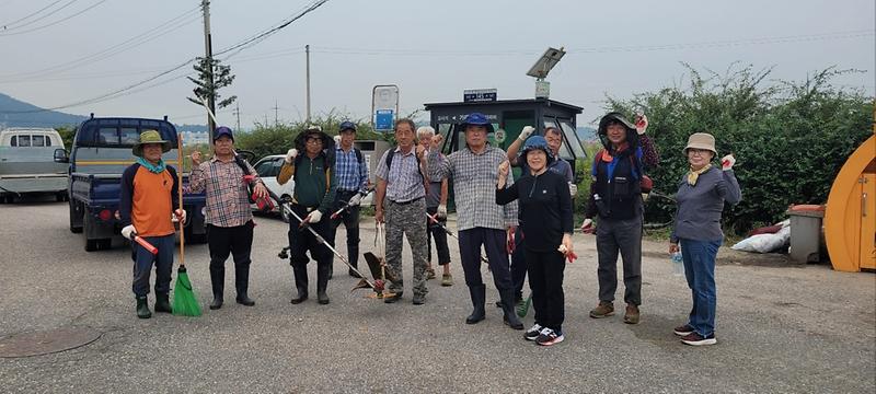 선원면_이장단,_생태계_교란종_제초_작업_시행_1