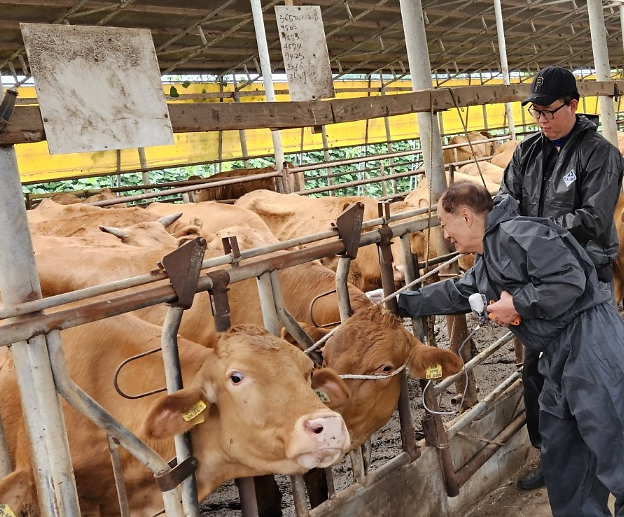 소_구제역_백신_접종_사진_1