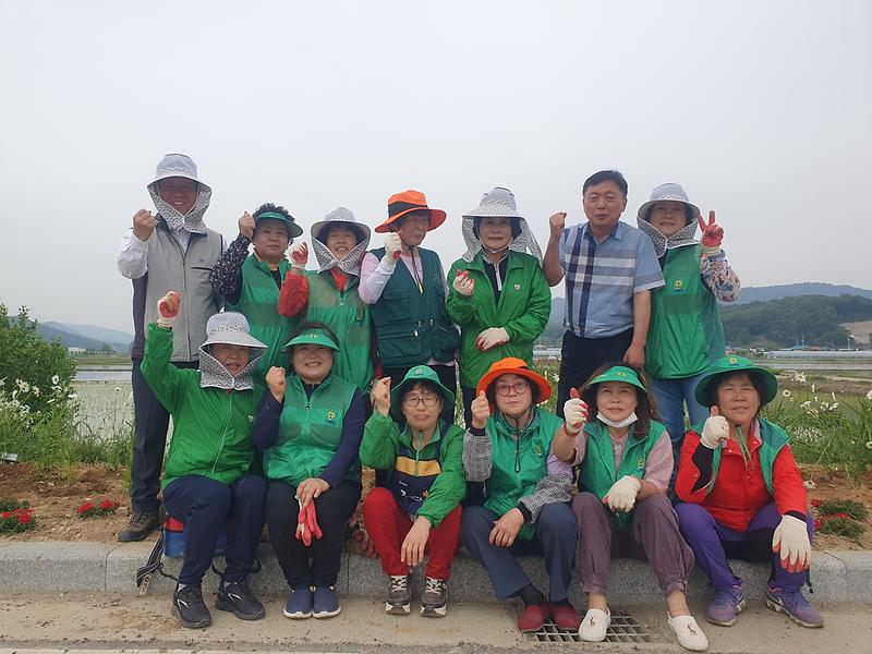 송해면_부녀회_꽃길_(1)