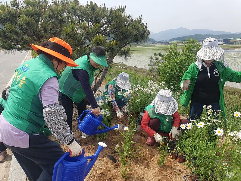 송해면_부녀회_꽃길_(2)