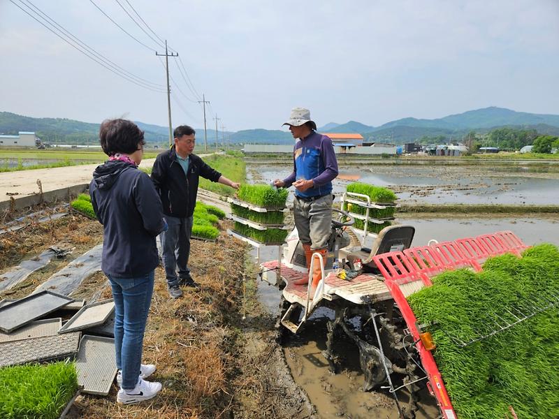 송해면_모내기_현장방문