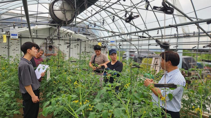 토마토재배_현장컨설팅_(3)