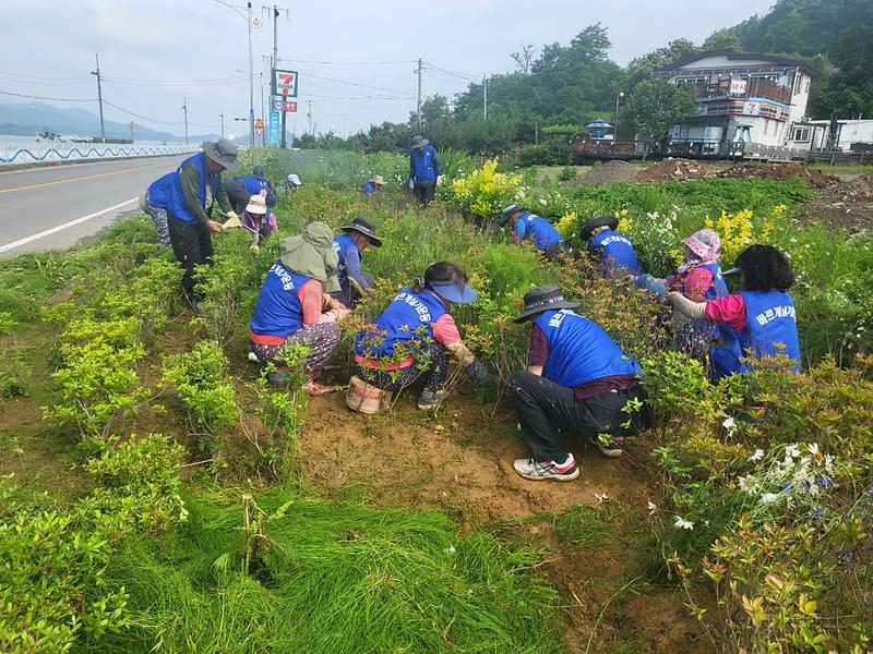 양도면_바르게살기위원회_가로화단_제초작업