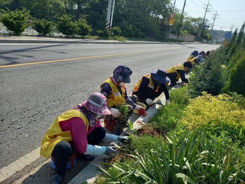 양도면_가로화단_정비활동