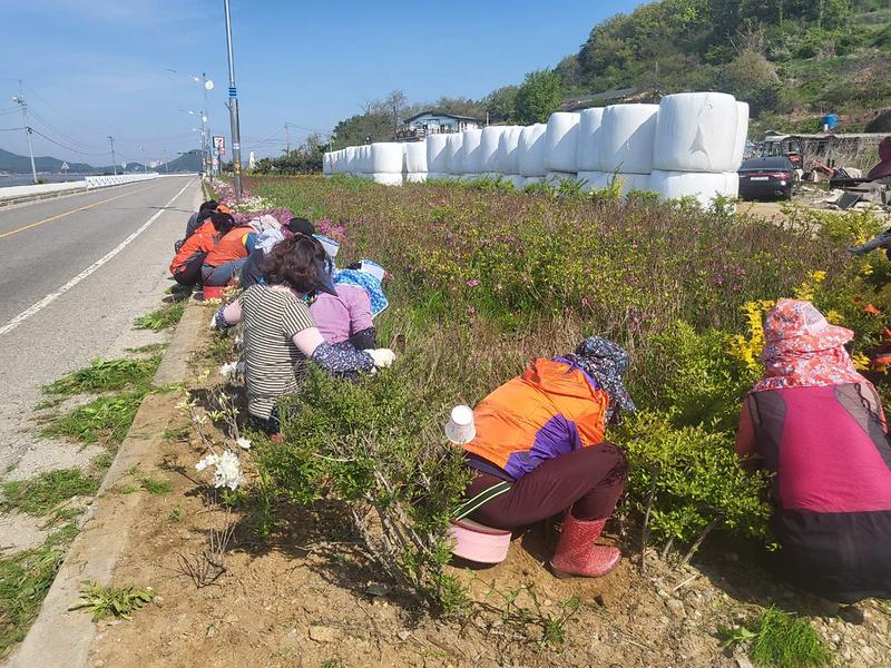양도면_자유총연맹_가로화단정비