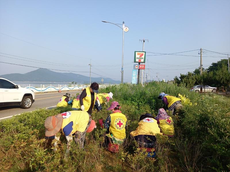 양도면_적십자부녀회,_제초작업