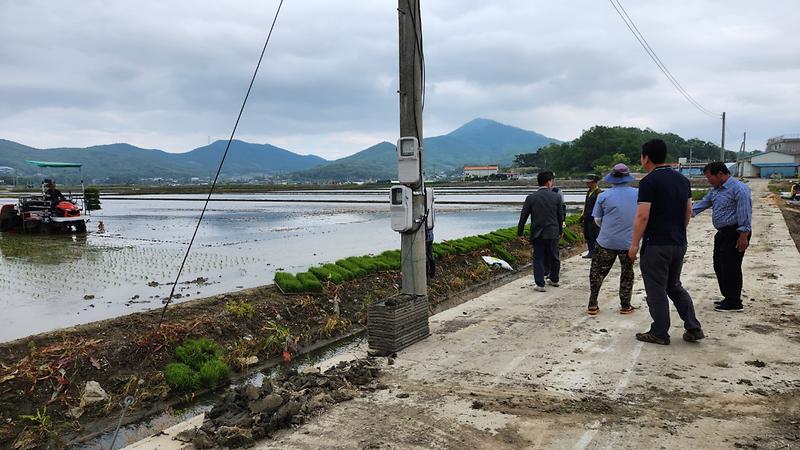 양도면_모내기_현장_방문