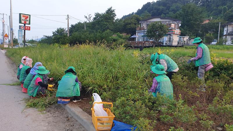 양도면_새마을부녀회_화단_정비