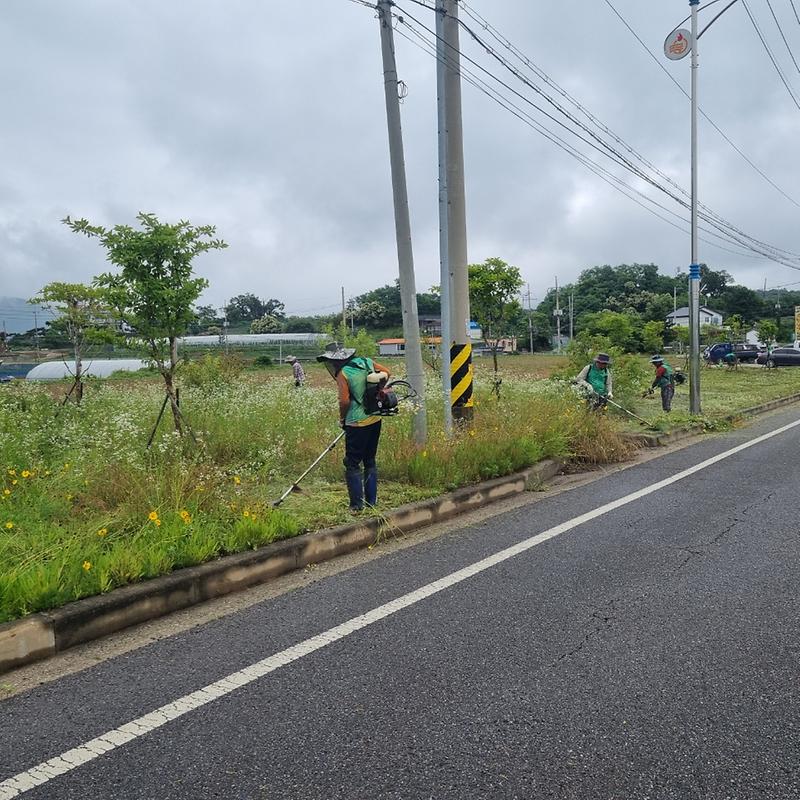 양도면_새마을지도자협의회_제초작업