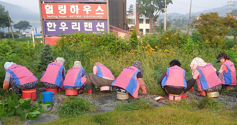 양도면_생활개선회_가로화단_정비