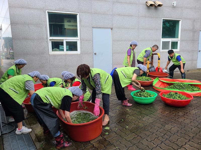 양도면_열무김치_나눔행사_(2)