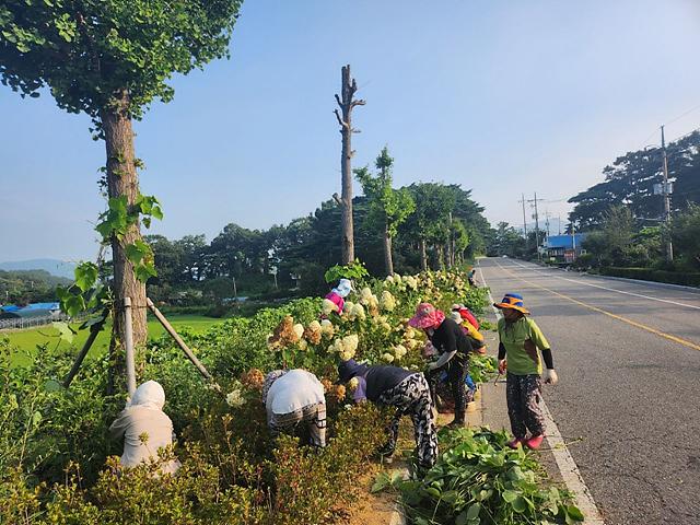 양도면_여성농업인회_화단정비_(1)