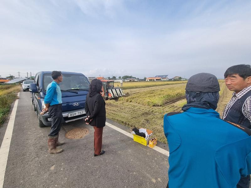 양사면_벼_가들걷이_마무리_(2)