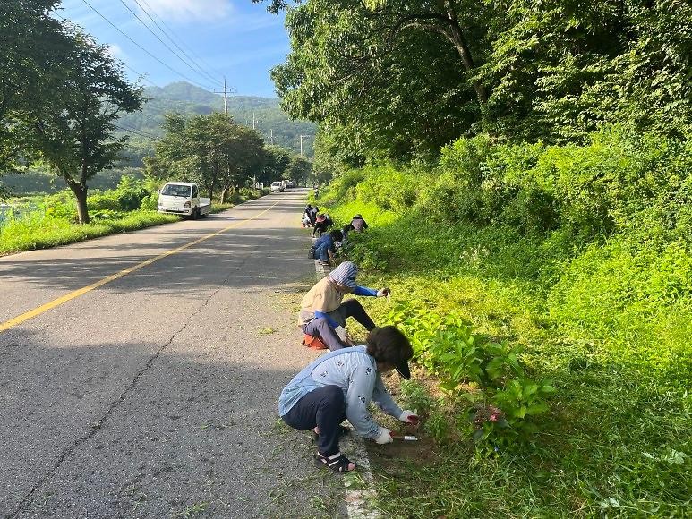 양사면_주민자치위원회_환경정화
