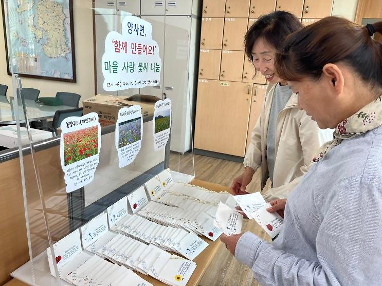 양사면_꽃씨_나눔_창구_운영(1)