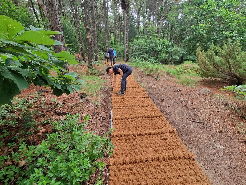 양사면_성덕산_정비