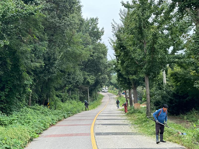 불은면_주민자치위원회,_추석맞이_도로변_제초