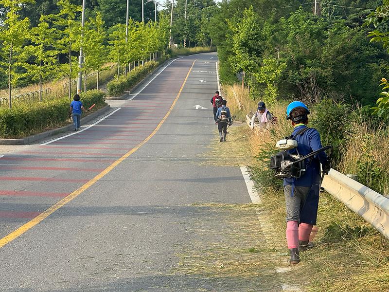 불은면_주민자치위원회,_여름맞이_도로변_제초_작업