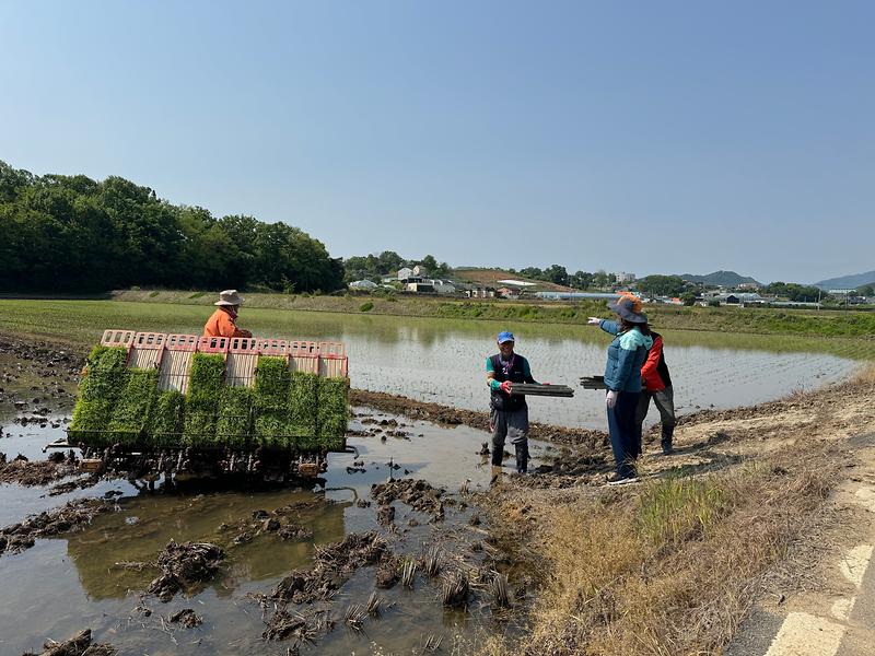 불은면,_모내기철_현장_영농행정_실시