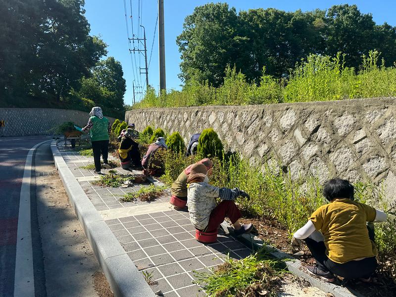 불은면_오두리_부녀회,_봄맞이_화단_정비로_마을_사랑_실천