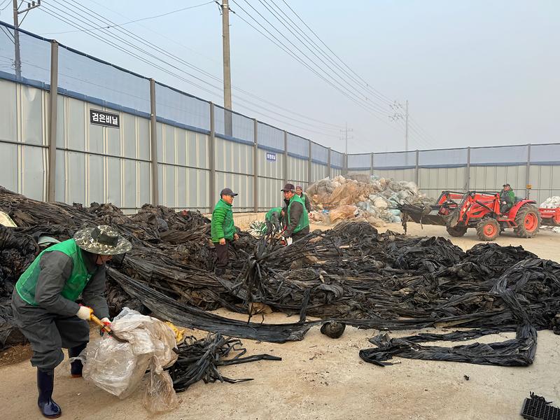 불은면_새마을지도자_영농폐비닐_수거