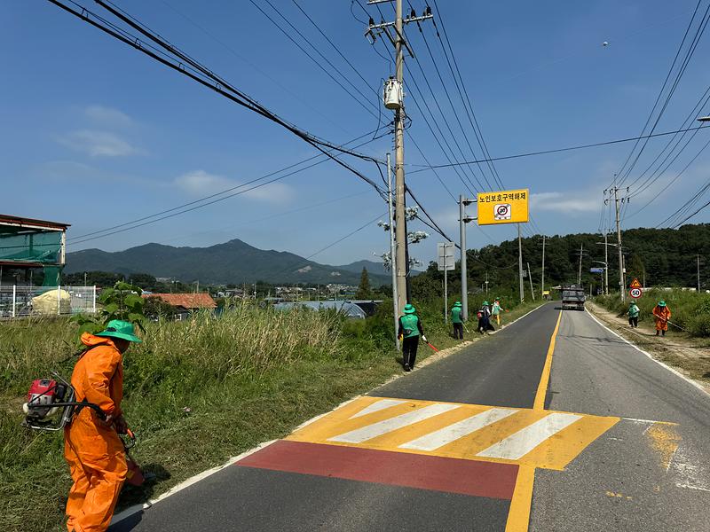 불은면_새마을남녀지도자,_추석맞이_도로변_제초