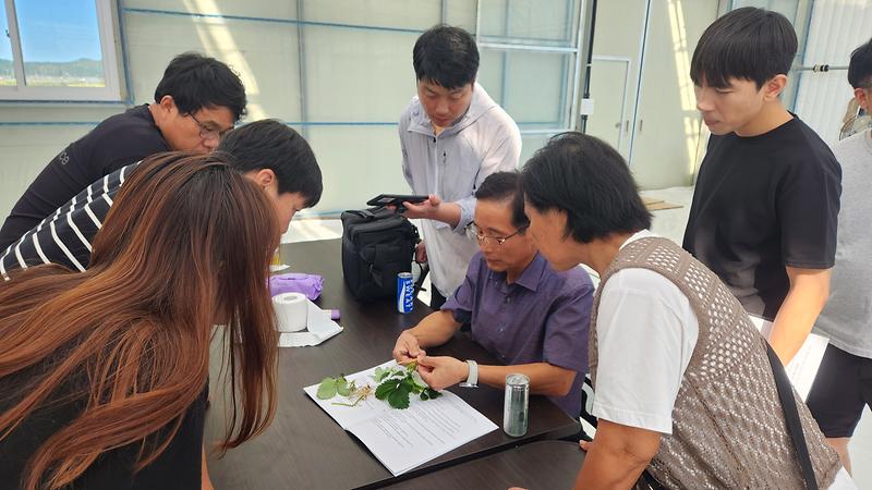 딸기_재배기술교육_(5)