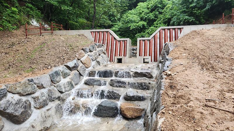 강화군,_23억_8천만_원_투입해_산림사업_조기_추진_박차_(2)