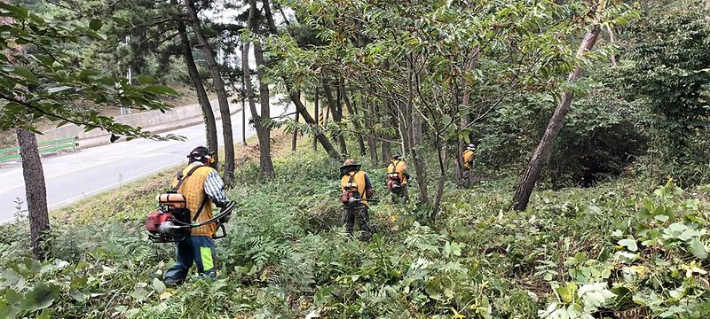 강화군,_23억_8천만_원_투입해_산림사업_조기_추진_박차_(3)