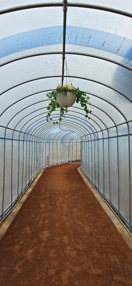 강화군,_‘최초’_전천후_맨발_걷기_황톳길_조성_(1)(1)