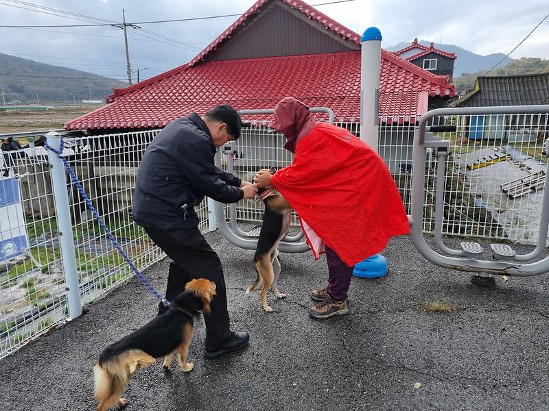 강화군,_“광견병_무료_예방접종_받으세요!”