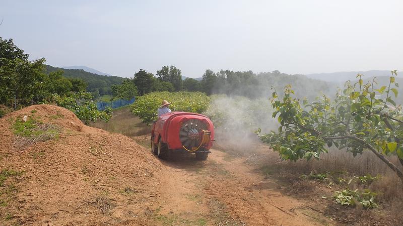 강화군,_과수_탄저병_피해_최소화_및_집중_방제_철저_당부